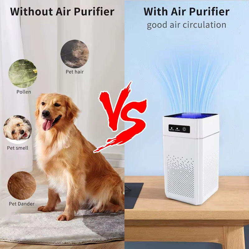 Professional home air purifier for removing formaldehyde odor and releasing negative ions, suitable for home and office use
